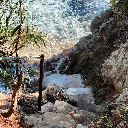 Rubino Loiri